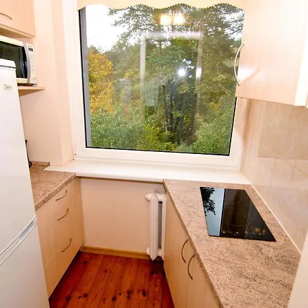 Poilsis Prie Dineikos Parko Druskininkai