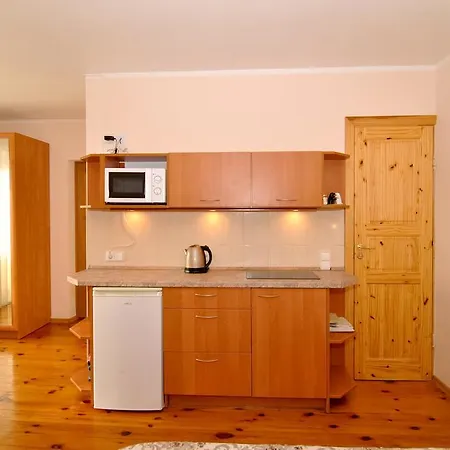 Poilsis Prie Dineikos Parko Druskininkai