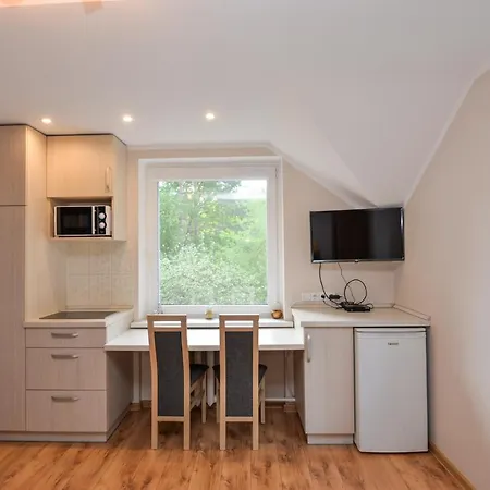 Poilsis Prie Dineikos Parko Druskininkai