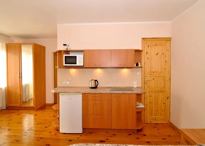 Poilsis Prie Dineikos Parko Druskininkai