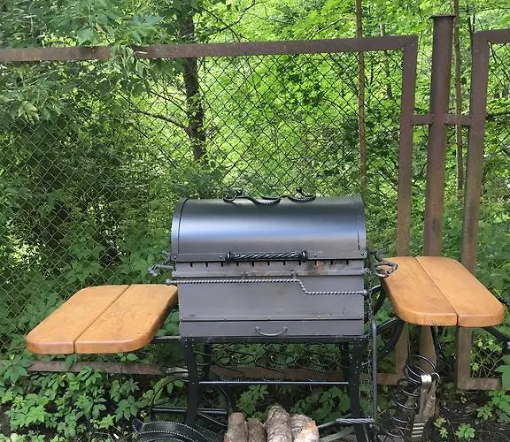 Guest house Poilsis Prie Dineikos Parko Druskininkai